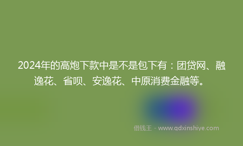 2024年的高炮下款中是不是包下有：团贷网、融逸花、省呗、安逸花、中原消费金融等。