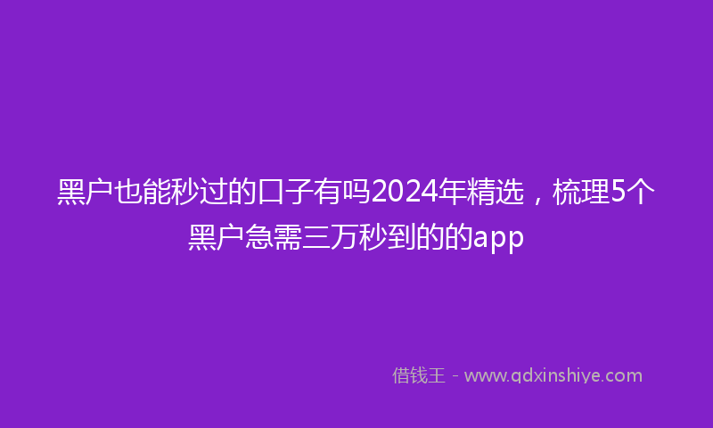 黑户也能秒过的口子有吗2024年精选，梳理5个黑户急需三万秒到的的app