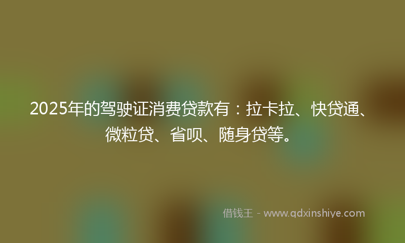 2025年的驾驶证消费贷款有：拉卡拉、快贷通、微粒贷、省呗、随身贷等。
