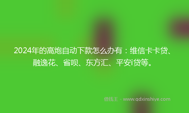 2024年的高炮自动下款怎么办有：维信卡卡贷、融逸花、省呗、东方汇、平安i贷等。