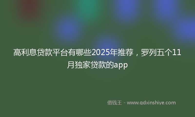高利息贷款平台有哪些2025年推荐，罗列五个11月独家贷款的app