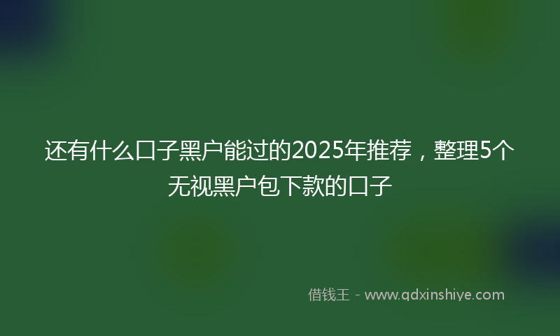 还有什么口子黑户能过的2025年推荐，整理5个无视黑户包下款的口子