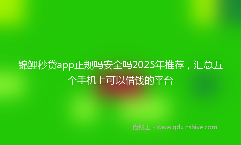 锦鲤秒贷app正规吗安全吗2025年推荐，汇总五个手机上可以借钱的平台