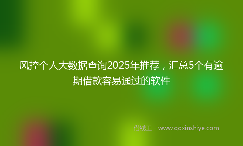 风控个人大数据查询2025年推荐，汇总5个有逾期借款容易通过的软件