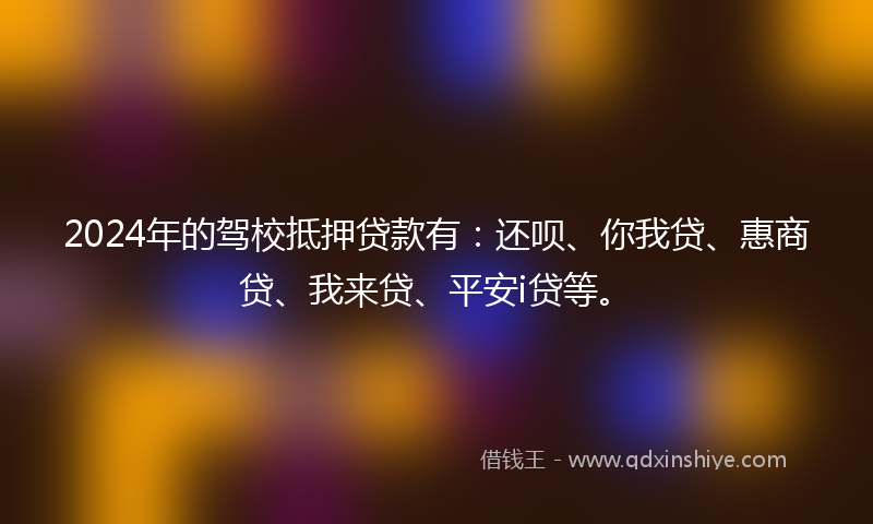 2024年的驾校抵押贷款有：还呗、你我贷、惠商贷、我来贷、平安i贷等。
