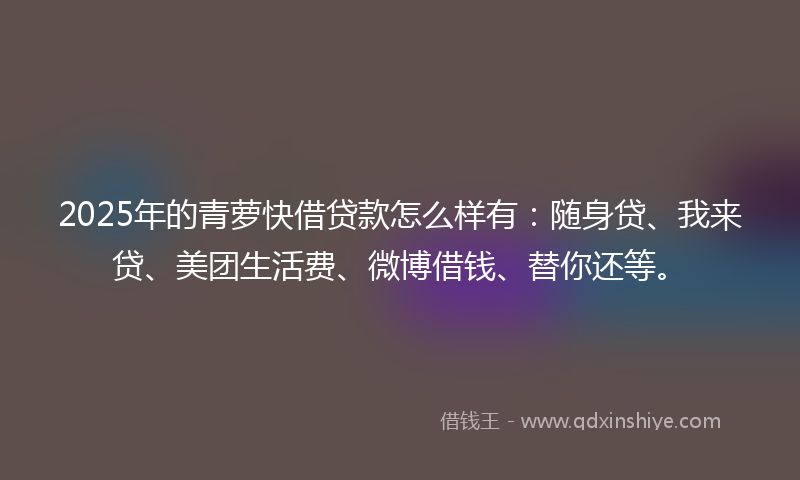 2025年的青萝快借贷款怎么样有：随身贷、我来贷、美团生活费、微博借钱、替你还等。