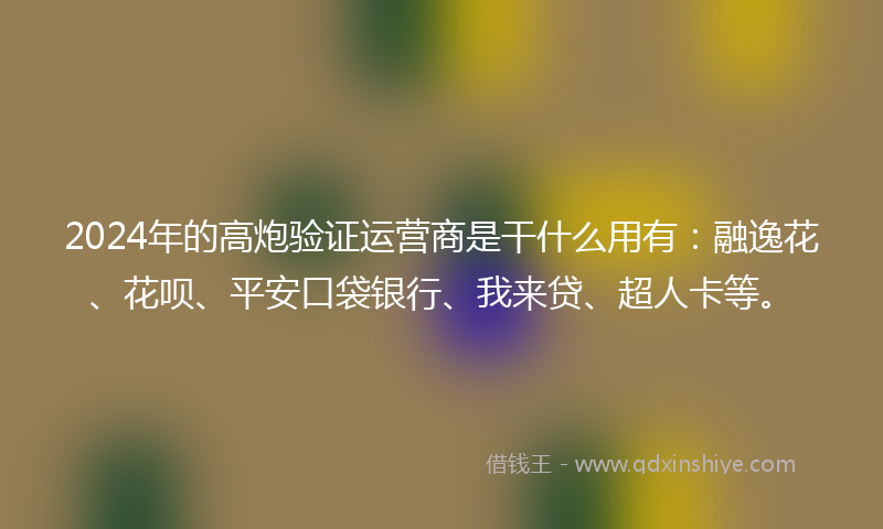 2024年的高炮验证运营商是干什么用有：融逸花、花呗、平安口袋银行、我来贷、超人卡等。