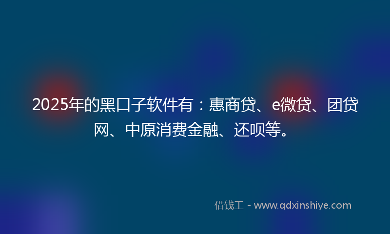2025年的黑口子软件有：惠商贷、e微贷、团贷网、中原消费金融、还呗等。