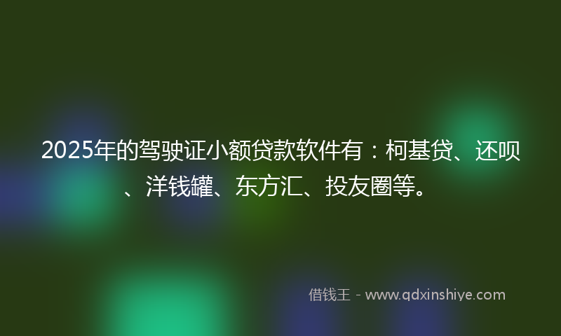 2025年的驾驶证小额贷款软件有：柯基贷、还呗、洋钱罐、东方汇、投友圈等。