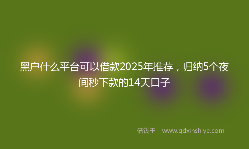 黑户什么平台可以借款2025年推荐，归纳5个夜间秒下款的14天口子