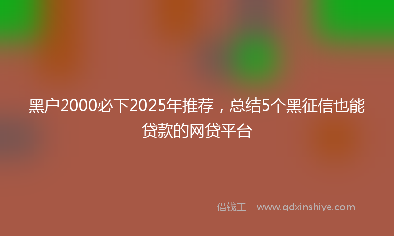 黑户2000必下2025年推荐，总结5个黑征信也能贷款的网贷平台