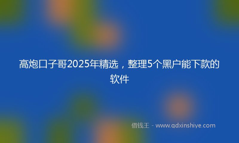 高炮口子哥2025年精选，整理5个黑户能下款的软件