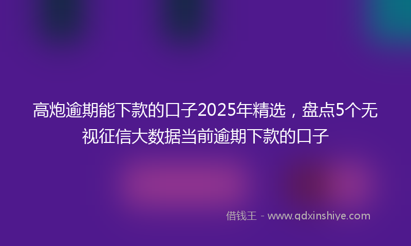 高炮逾期能下款的口子2025年精选，盘点5个无视征信大数据当前逾期下款的口子