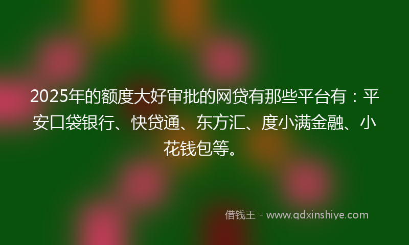 2025年的额度大好审批的网贷有那些平台有：平安口袋银行、快贷通、东方汇、度小满金融、小花钱包等。