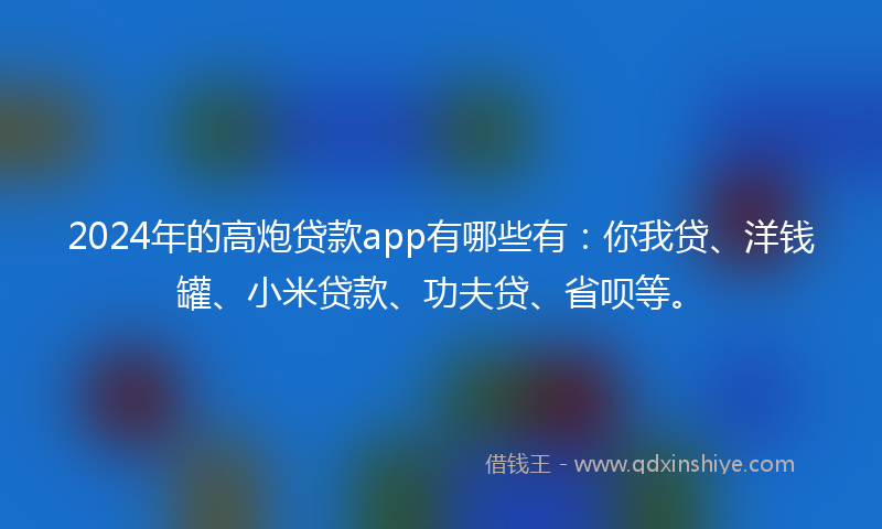 2024年的高炮贷款app有哪些有：你我贷、洋钱罐、小米贷款、功夫贷、省呗等。