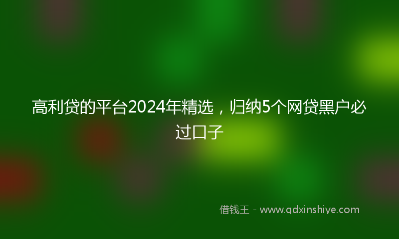 高利贷的平台2024年精选，归纳5个网贷黑户必过口子