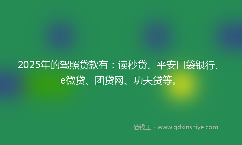 2025年的驾照贷款有：读秒贷、平安口袋银行、e微贷、团贷网、功夫贷等。