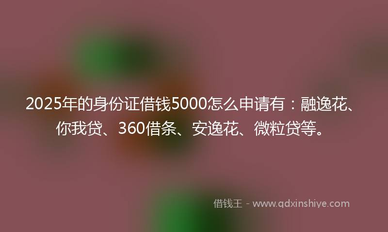 2025年的身份证借钱5000怎么申请有：融逸花、你我贷、360借条、安逸花、微粒贷等。