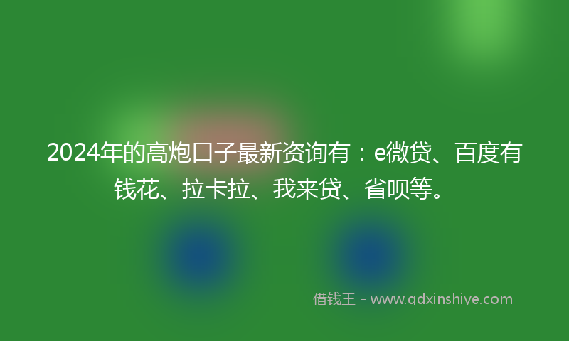 2024年的高炮口子最新资询有：e微贷、百度有钱花、拉卡拉、我来贷、省呗等。