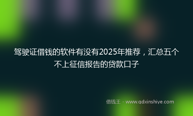 驾驶证借钱的软件有没有2025年推荐，汇总五个不上征信报告的贷款口子