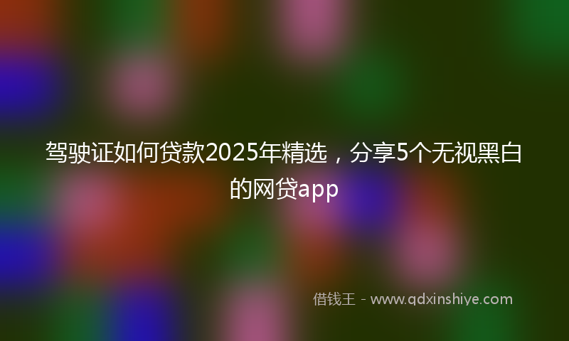 驾驶证如何贷款2025年精选，分享5个无视黑白的网贷app