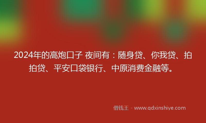 2024年的高炮口子 夜间有：随身贷、你我贷、拍拍贷、平安口袋银行、中原消费金融等。