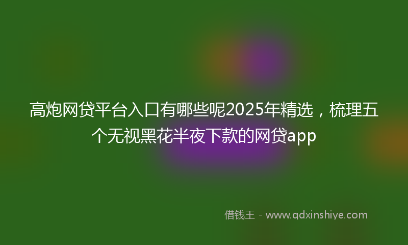 高炮网贷平台入口有哪些呢2025年精选，梳理五个无视黑花半夜下款的网贷app