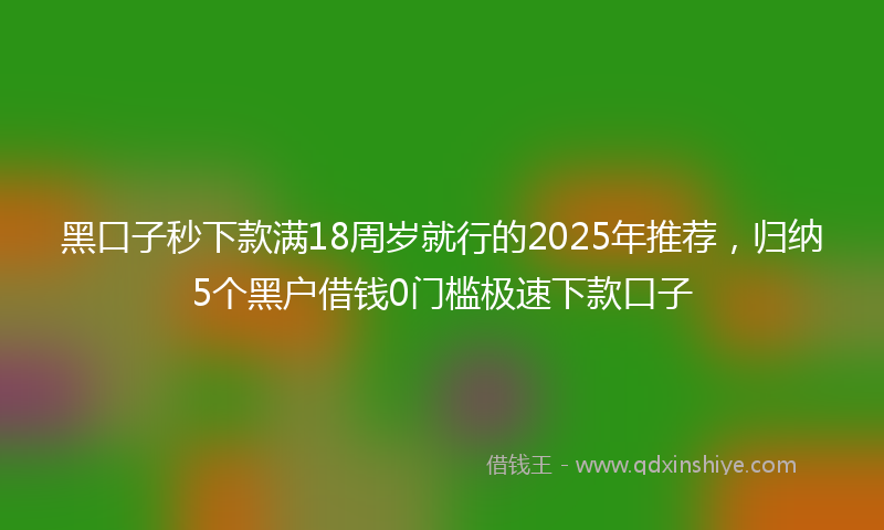 黑口子秒下款满18周岁就行的2025年推荐，归纳5个黑户借钱0门槛极速下款口子