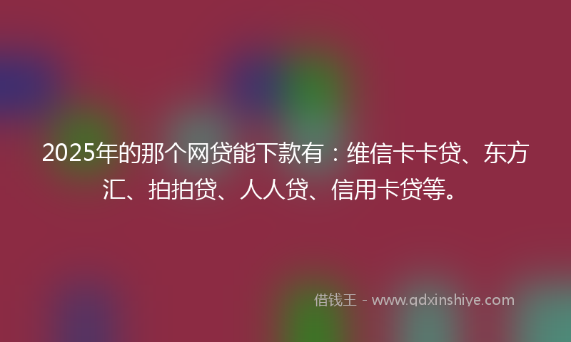 2025年的那个网贷能下款有：维信卡卡贷、东方汇、拍拍贷、人人贷、信用卡贷等。