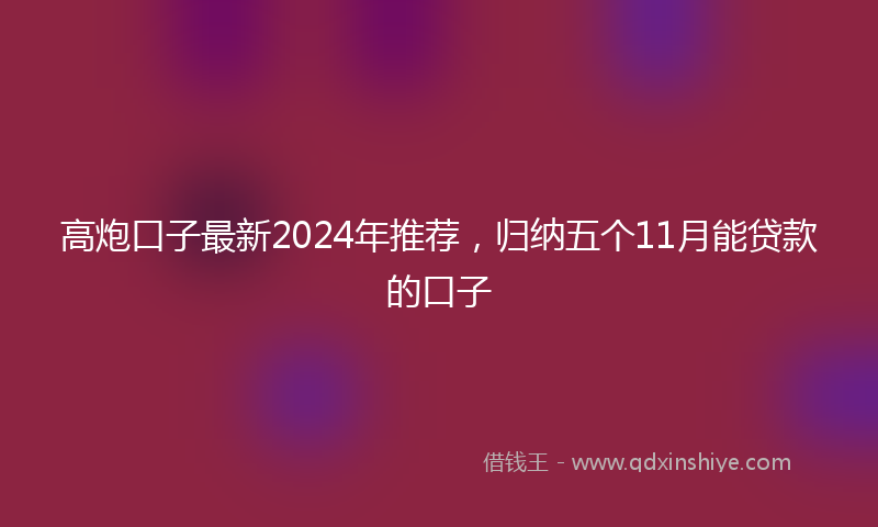 高炮口子最新2024年推荐，归纳五个11月能贷款的口子