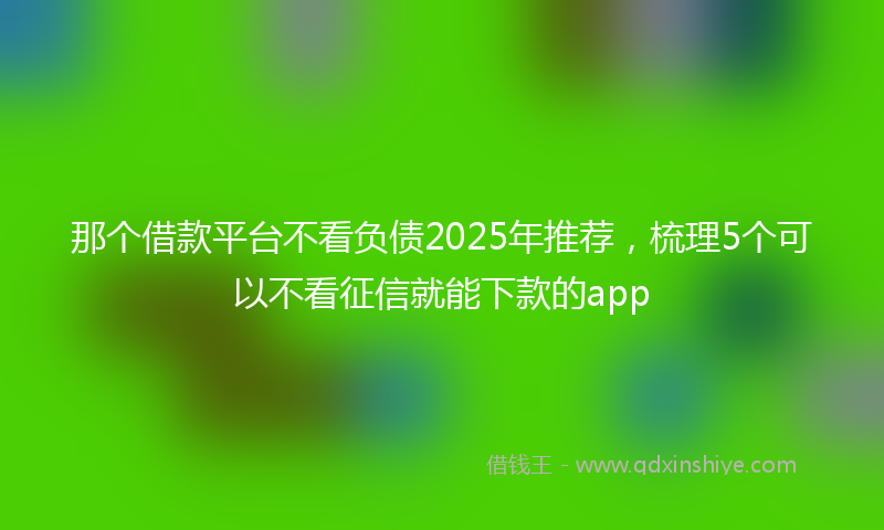 那个借款平台不看负债2025年推荐，梳理5个可以不看征信就能下款的app
