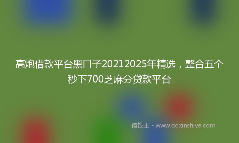 高炮借款平台黑口子20212025年精选，整合五个秒下700芝麻分贷款平台