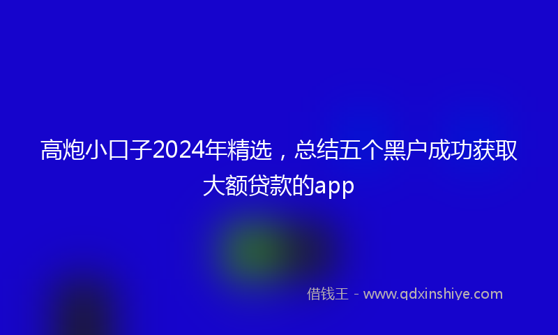 高炮小口子2024年精选，总结五个黑户成功获取大额贷款的app