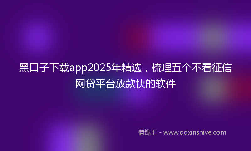 黑口子下载app2025年精选，梳理五个不看征信网贷平台放款快的软件
