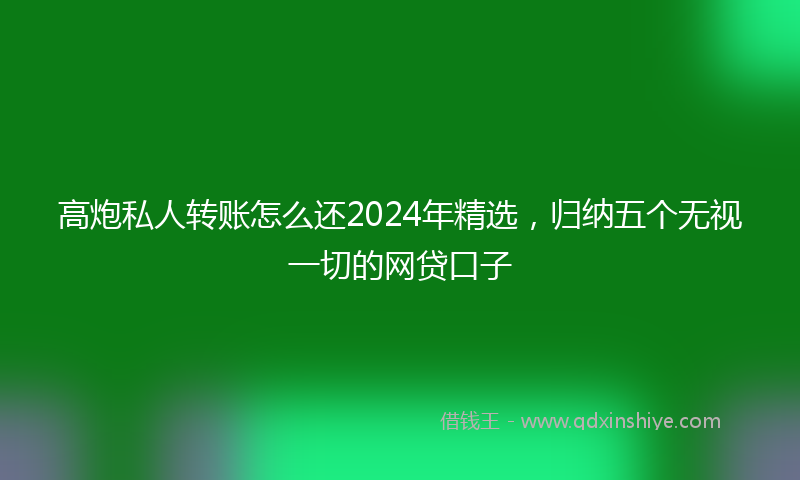 高炮私人转账怎么还2024年精选，归纳五个无视一切的网贷口子