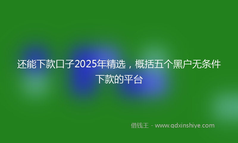 还能下款口子2025年精选，概括五个黑户无条件下款的平台