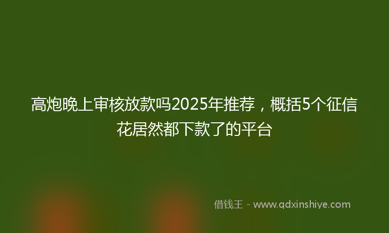 高炮晚上审核放款吗2025年推荐，概括5个征信花居然都下款了的平台