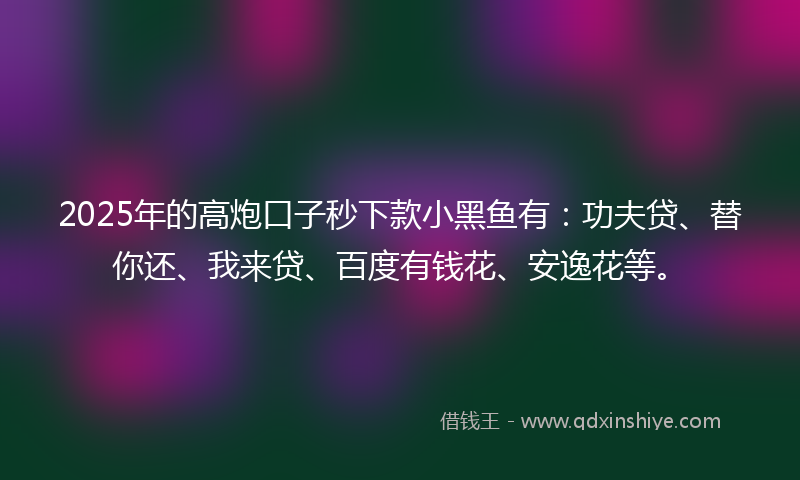 2025年的高炮口子秒下款小黑鱼有：功夫贷、替你还、我来贷、百度有钱花、安逸花等。