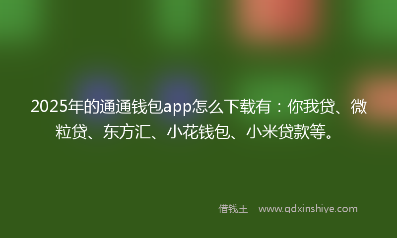 2025年的通通钱包app怎么下载有：你我贷、微粒贷、东方汇、小花钱包、小米贷款等。