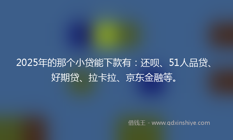 2025年的那个小贷能下款有：还呗、51人品贷、好期贷、拉卡拉、京东金融等。