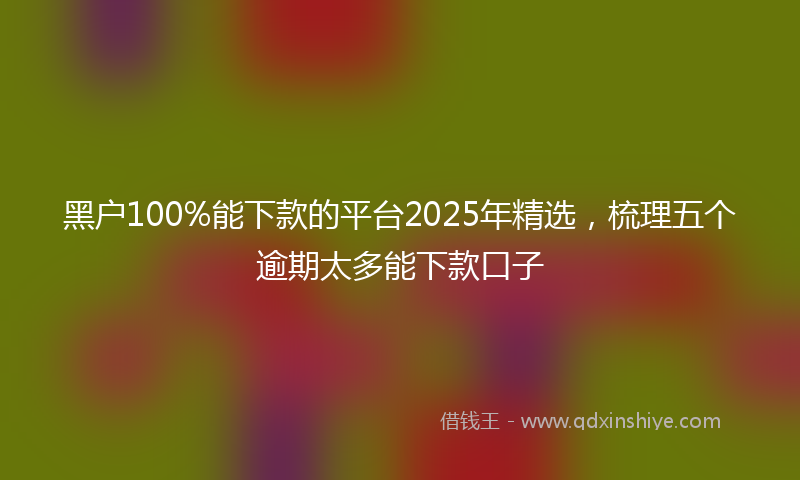黑户100%能下款的平台2025年精选，梳理五个逾期太多能下款口子