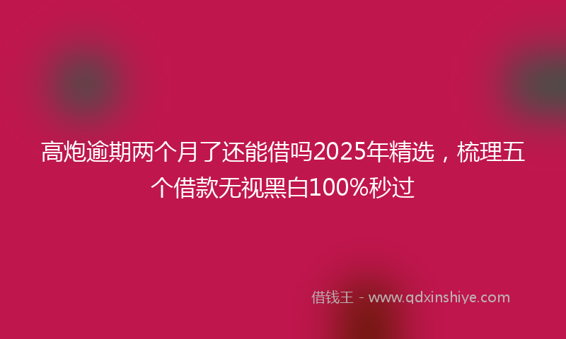 高炮逾期两个月了还能借吗2025年精选，梳理五个借款无视黑白100%秒过