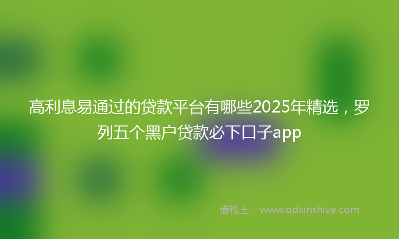 高利息易通过的贷款平台有哪些2025年精选，罗列五个黑户贷款必下口子app