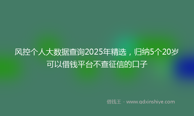风控个人大数据查询2025年精选，归纳5个20岁可以借钱平台不查征信的口子