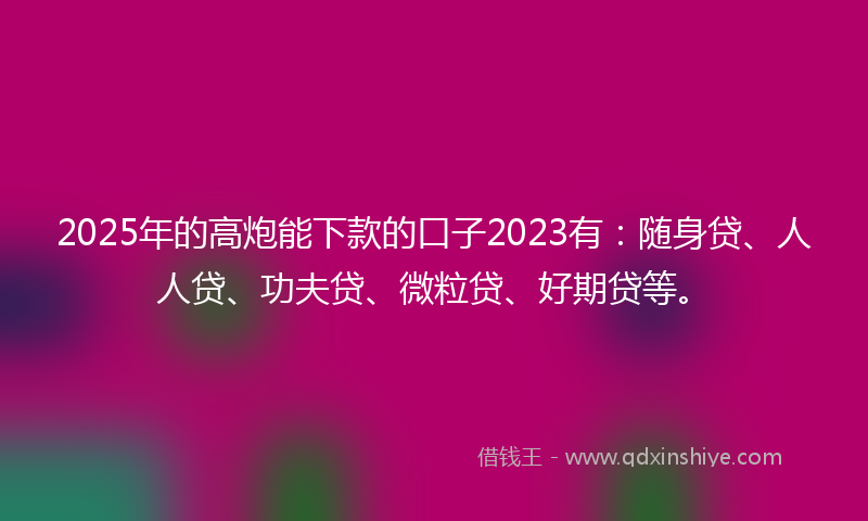 2025年的高炮能下款的口子2023有：随身贷、人人贷、功夫贷、微粒贷、好期贷等。