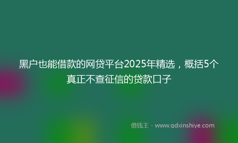 黑户也能借款的网贷平台2025年精选，概括5个真正不查征信的贷款口子