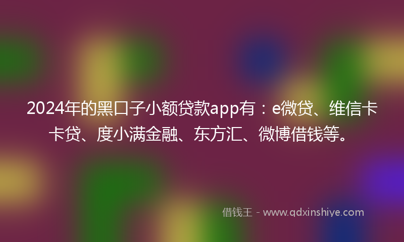 2024年的黑口子小额贷款app有：e微贷、维信卡卡贷、度小满金融、东方汇、微博借钱等。