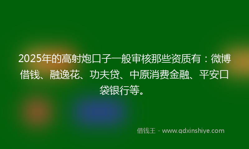 2025年的高射炮口子一般审核那些资质有：微博借钱、融逸花、功夫贷、中原消费金融、平安口袋银行等。