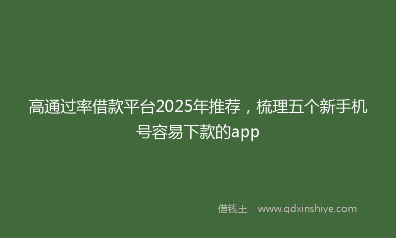 高通过率借款平台2025年推荐，梳理五个新手机号容易下款的app