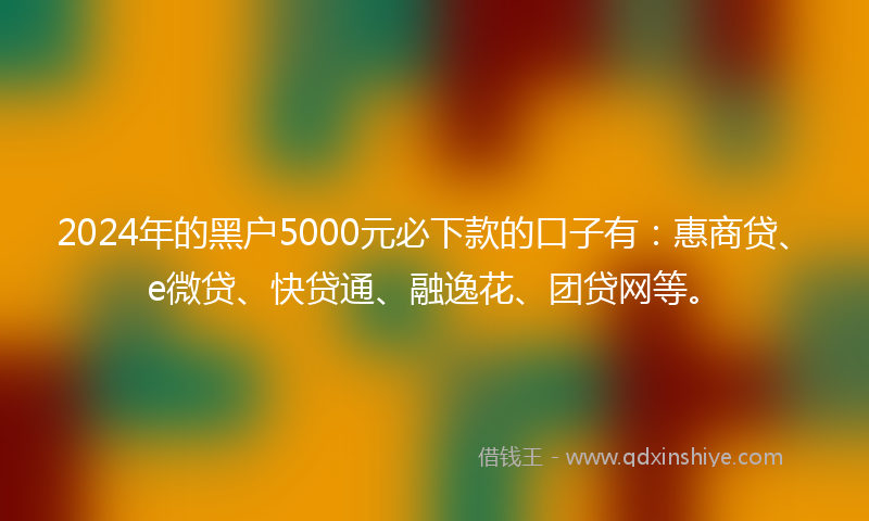 2024年的黑户5000元必下款的口子有：惠商贷、e微贷、快贷通、融逸花、团贷网等。